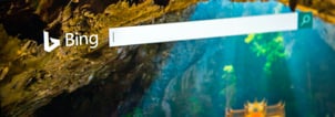 Infinity and Bing Ads uncover the true impact of search campaigns